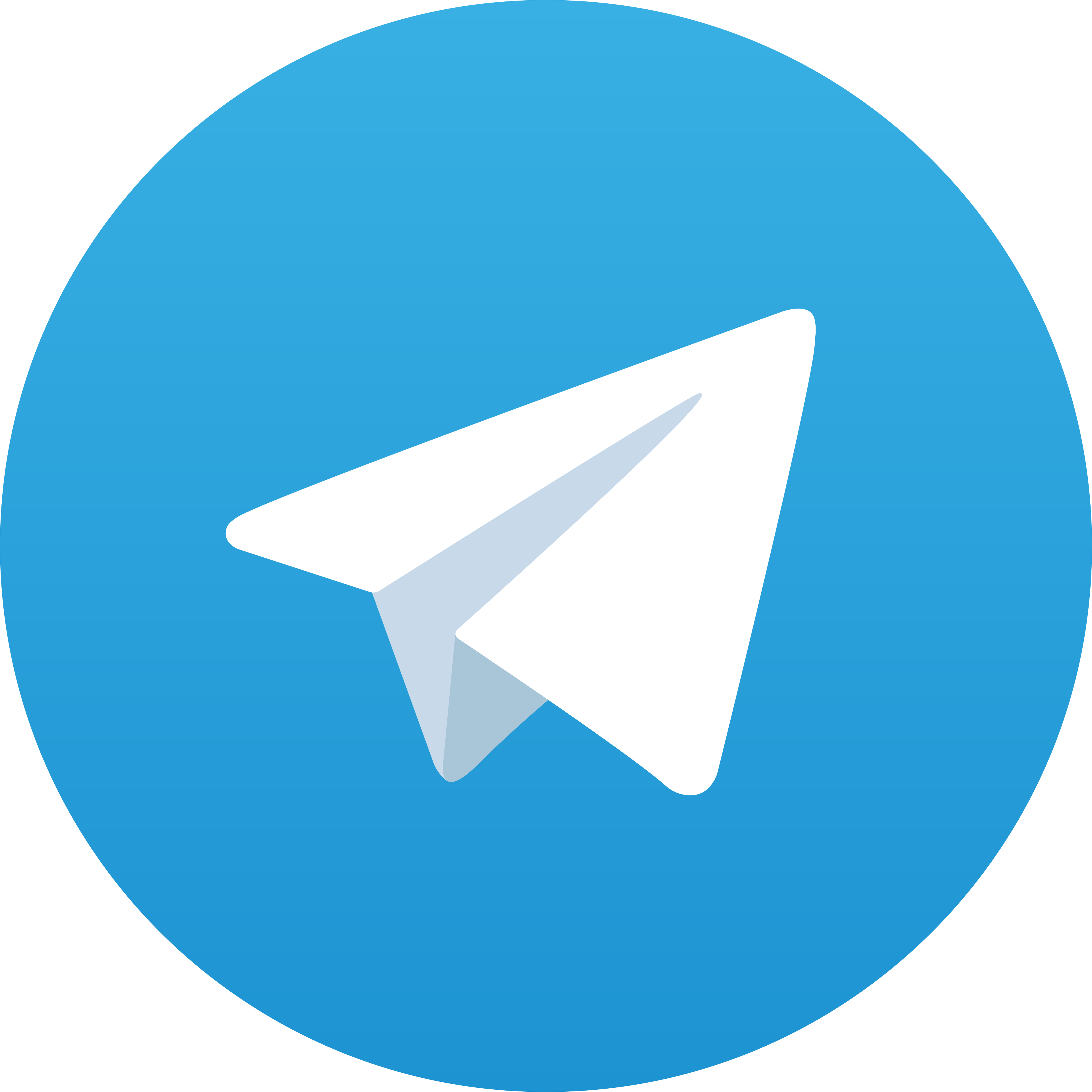 Telegram Dama69